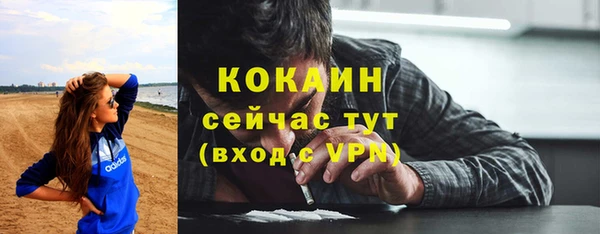 хмурый Верея
