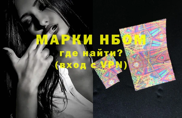 хмурый Верея