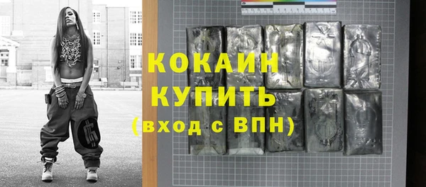 хмурый Верея