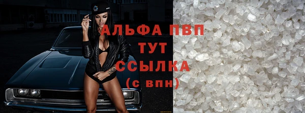 хмурый Верея